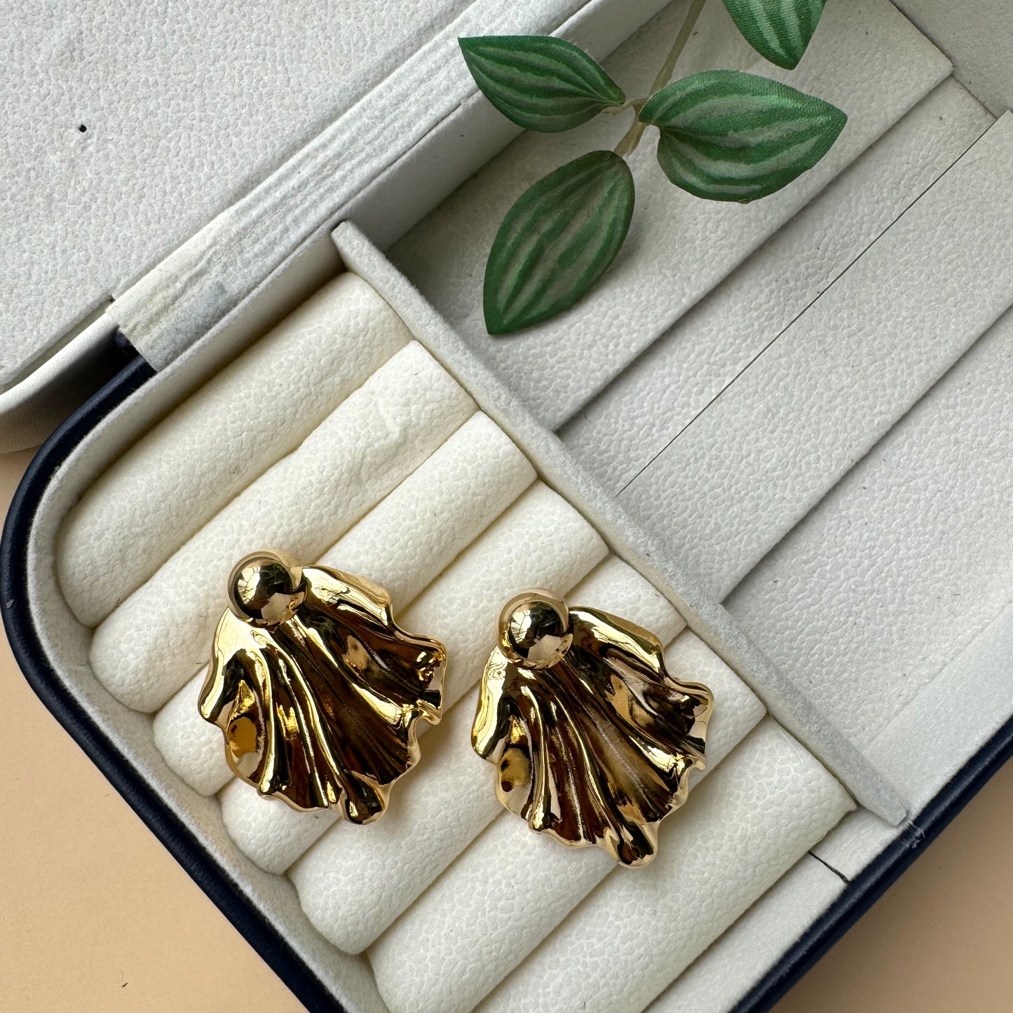 Elegant shell earrings in a display box