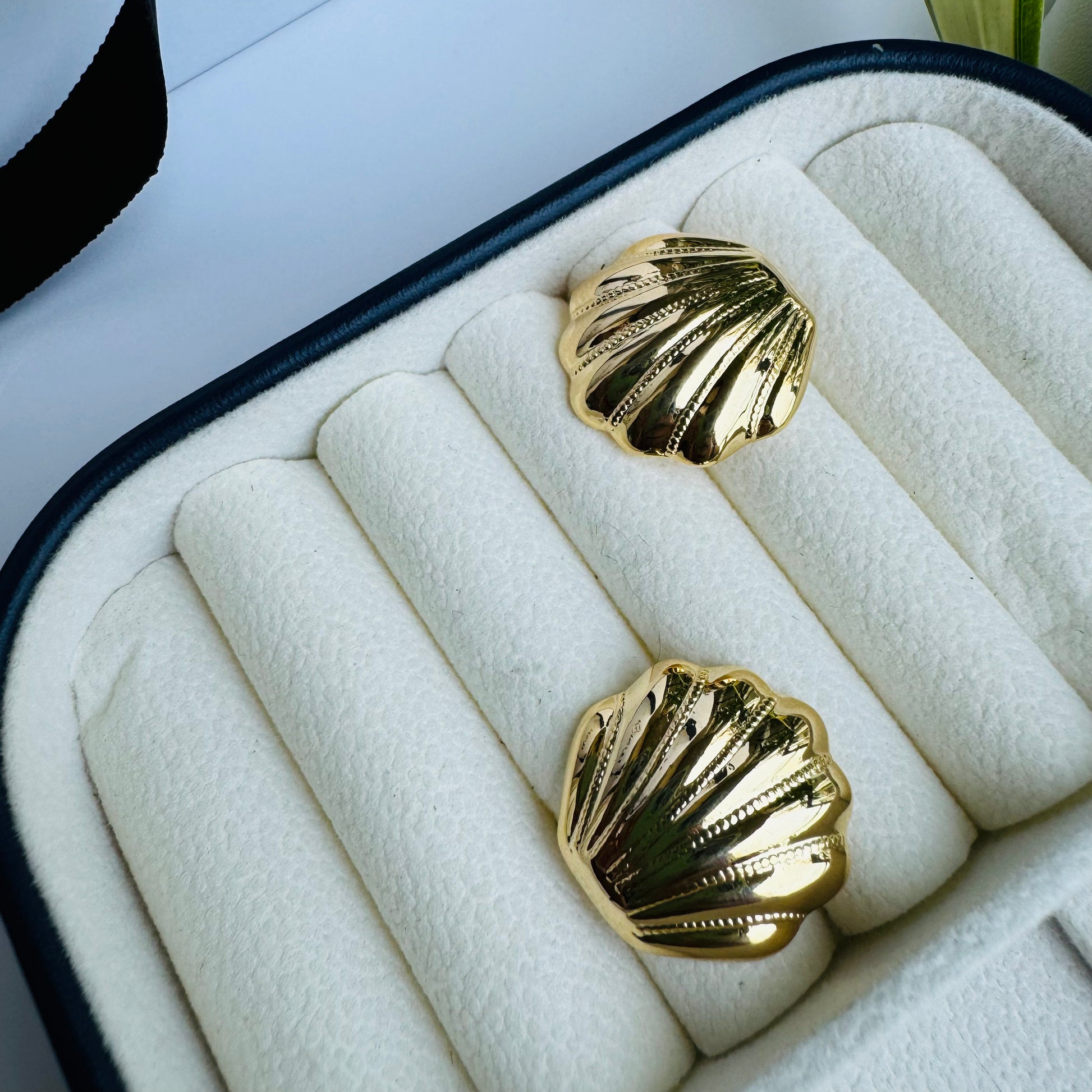 Elegant gold shell stud earrings, capturing ocean-inspired beauty, displayed in a luxurious jewelry box with LUSH 24 packaging